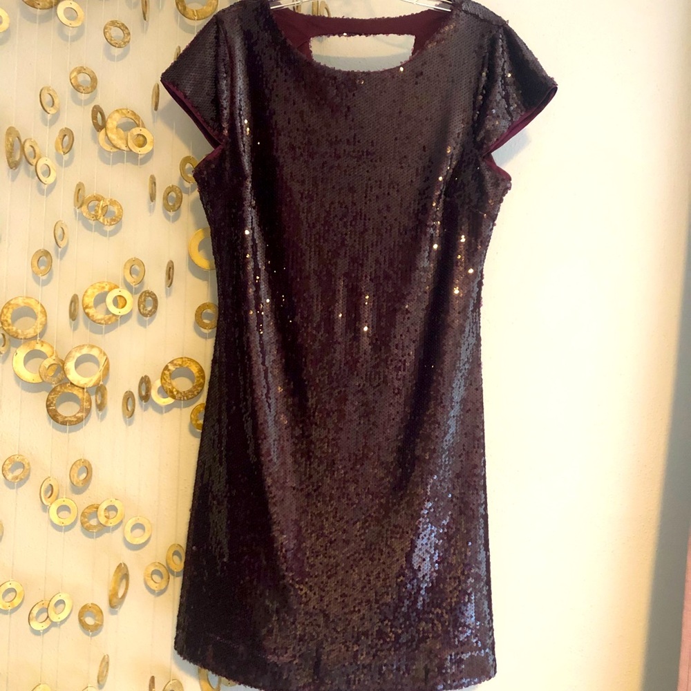 Anthropologie skies are blue maroon Sequin dress NEW size medium